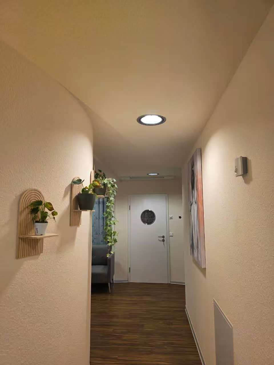 Ruhiger Flur mit Pflanzen, Holzregalen und warmem Deckenlicht